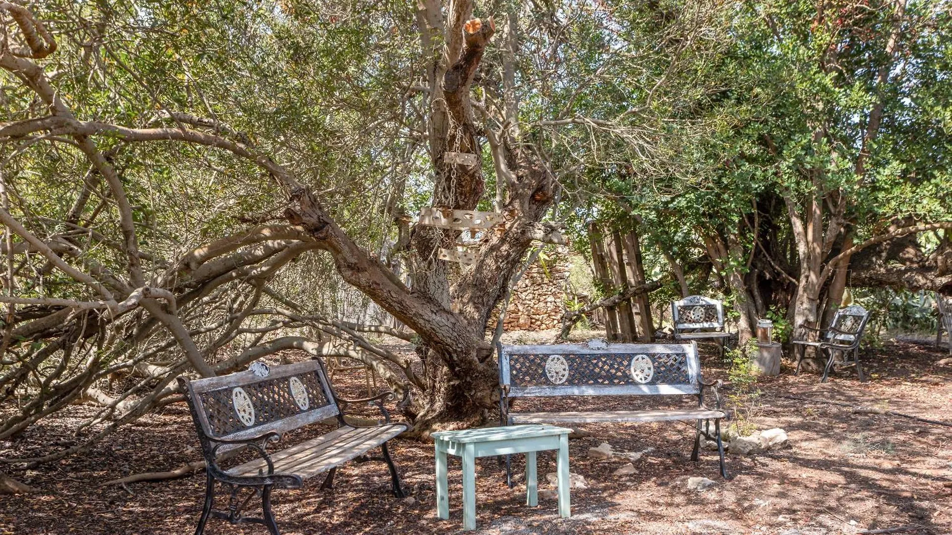 Διαμέρισμα Can Xicu BALEARIC ISLANDS